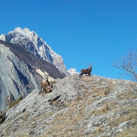 Апартаменты Location Vacances Saint Michel De Maurienne "Le Dahu" Экстерьер фото