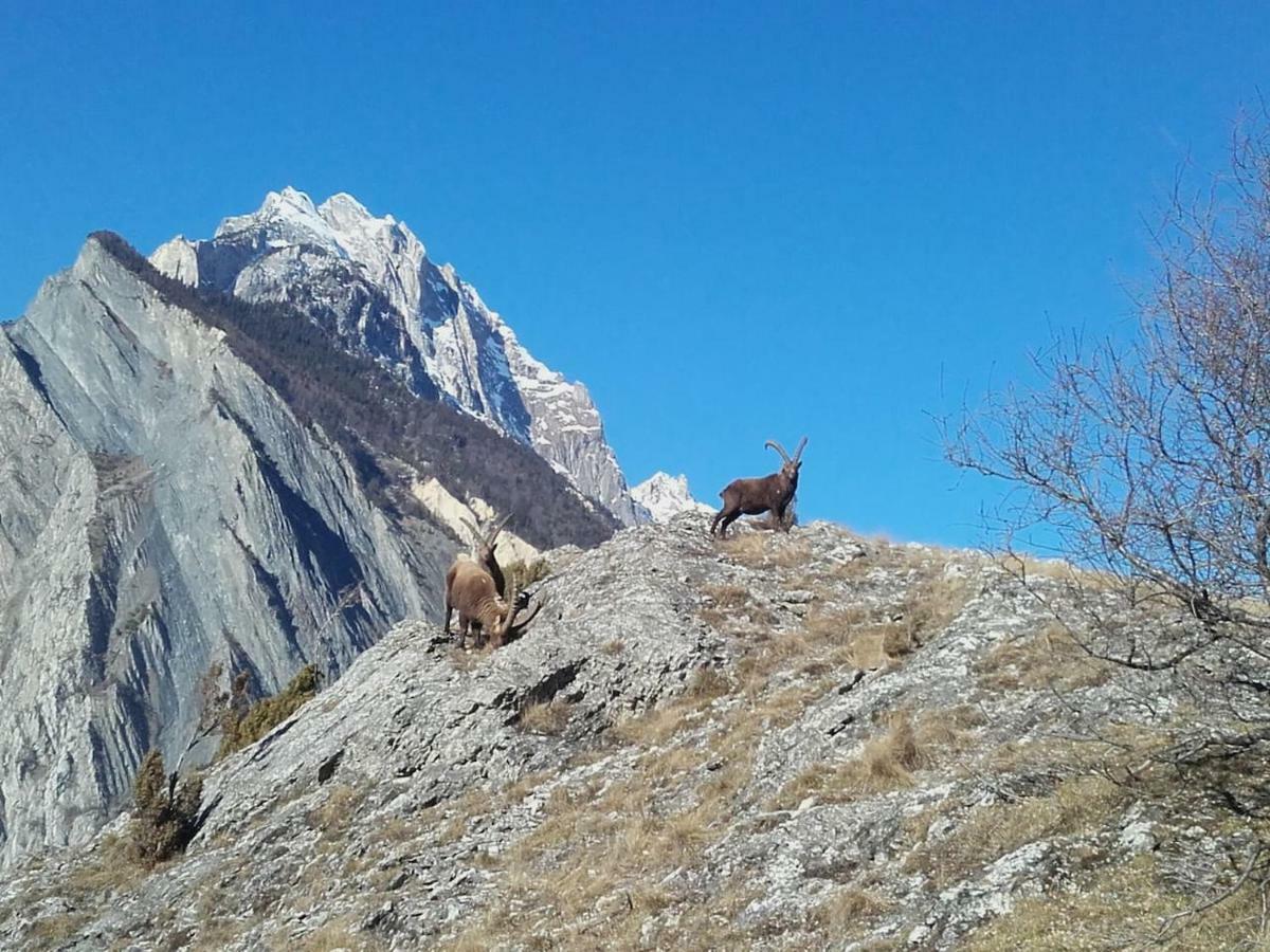 Апартаменты Location Vacances Saint Michel De Maurienne "Le Dahu" Экстерьер фото